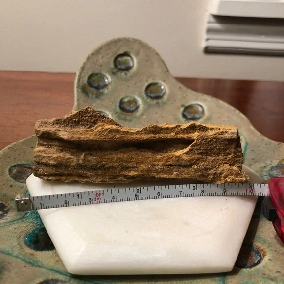 Rare smoky quartz petrified wood - Picture 3 of 5